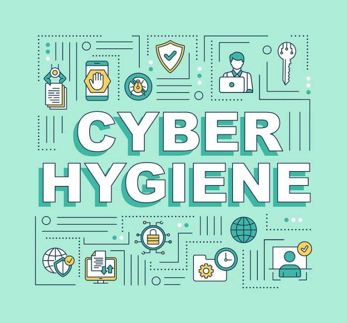 Improving Your Cybersecurity Habits: 5 Tips for Digital Hygiene ..<div class=